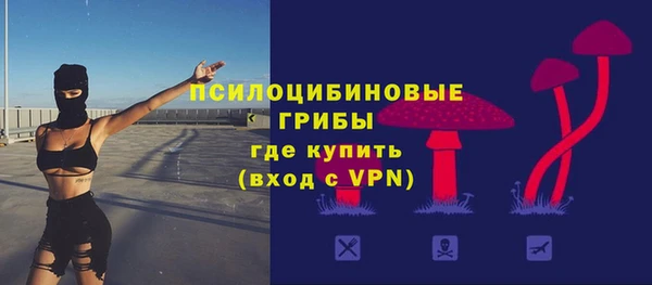 гидра Гусь-Хрустальный