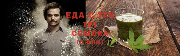гидра Гусь-Хрустальный
