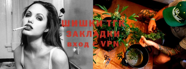 гидра Гусь-Хрустальный