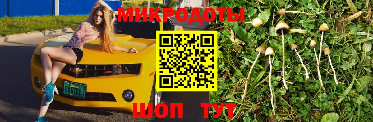 Псилоцибиновые грибы мицелий  Вход с VPN  Мценск 