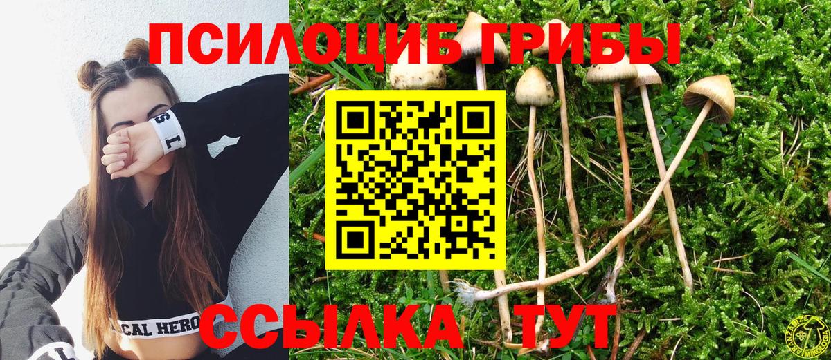 Псилоцибиновые грибы Magic Shrooms Мценск